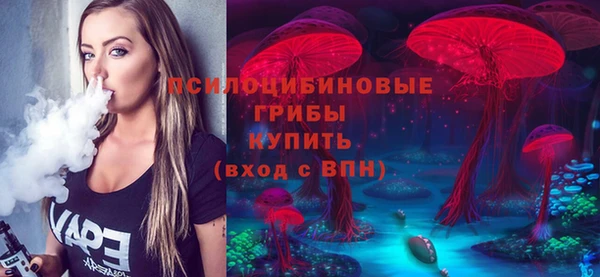 Альфа ПВП Аркадак