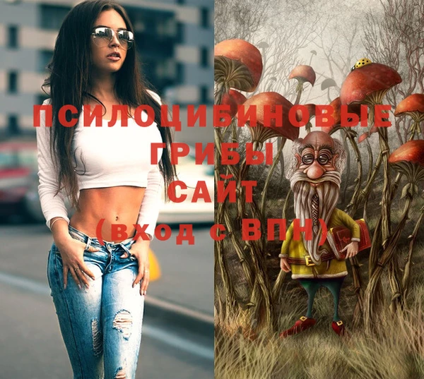 Альфа ПВП Аркадак